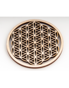 Flower of life The sacred geometry of the universe   and existence .